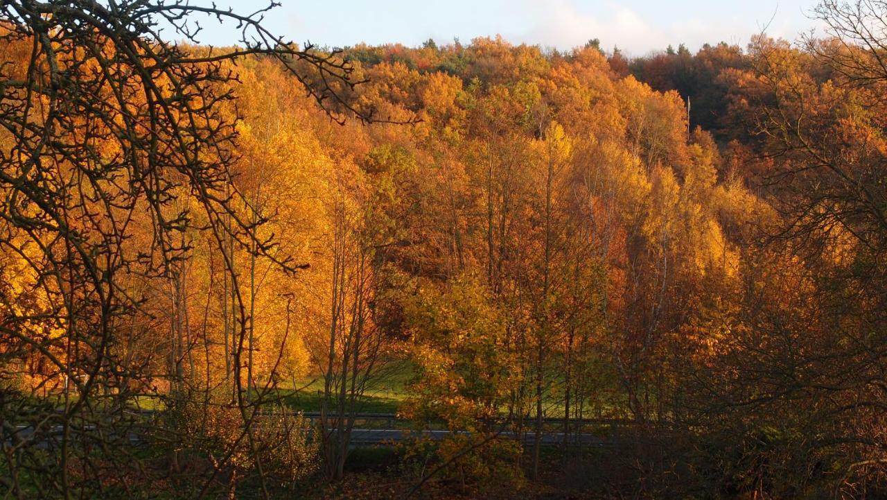 Ferienwohnung Und Pension "Zur Aue" Konigsbruck 外观 照片