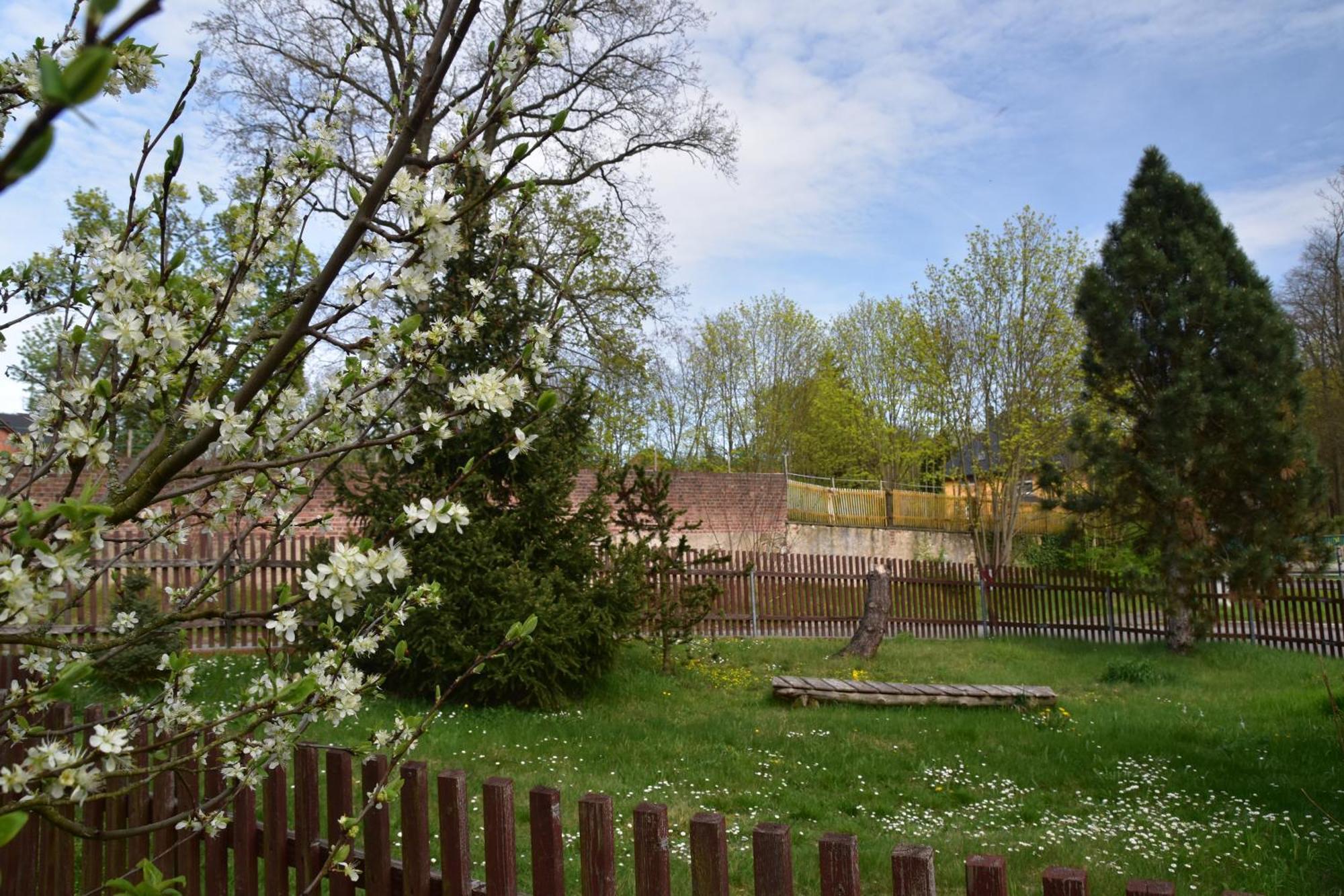 Ferienwohnung Und Pension "Zur Aue" Konigsbruck 外观 照片