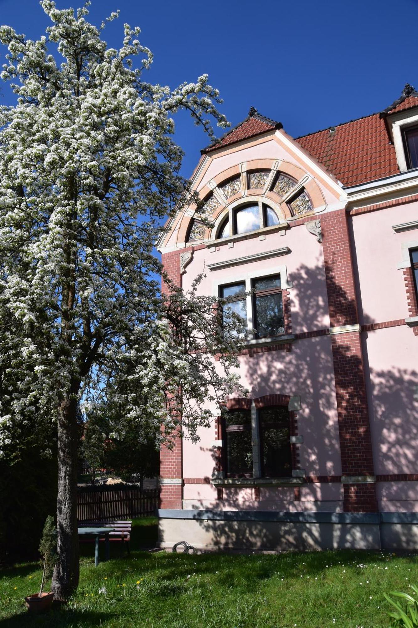 Ferienwohnung Und Pension "Zur Aue" Konigsbruck 外观 照片