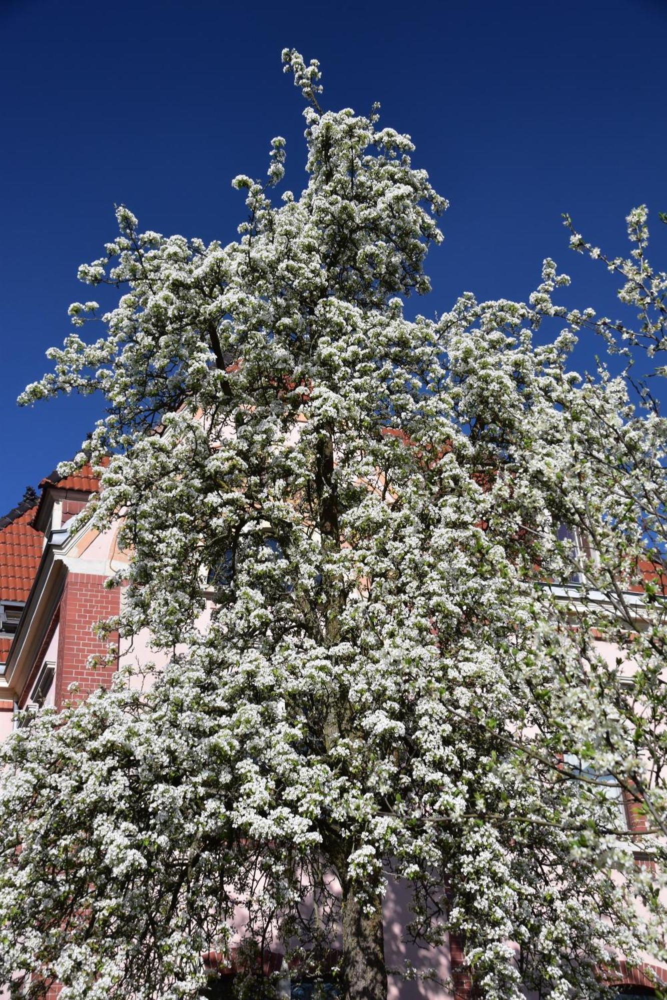 Ferienwohnung Und Pension "Zur Aue" Konigsbruck 外观 照片