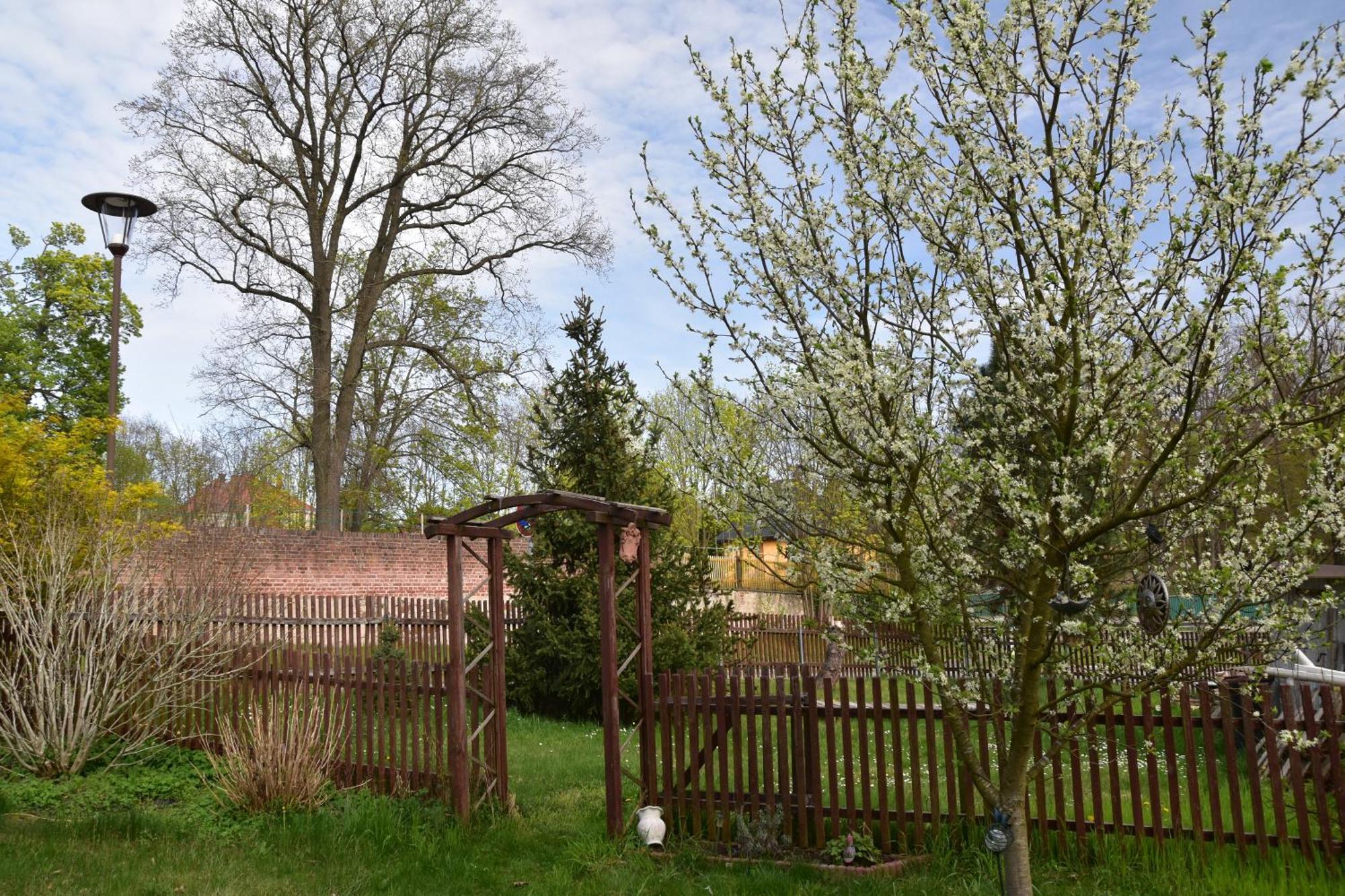 Ferienwohnung Und Pension "Zur Aue" Konigsbruck 外观 照片