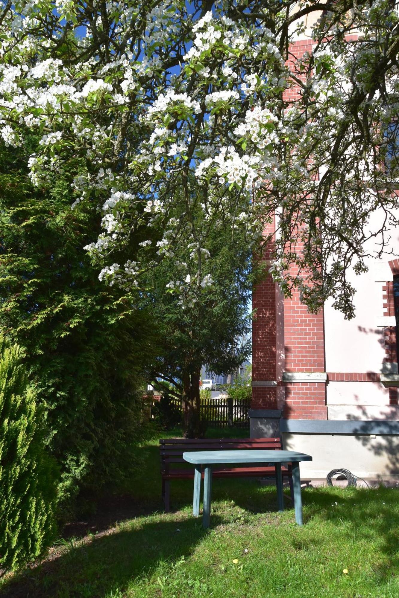 Ferienwohnung Und Pension "Zur Aue" Konigsbruck 外观 照片